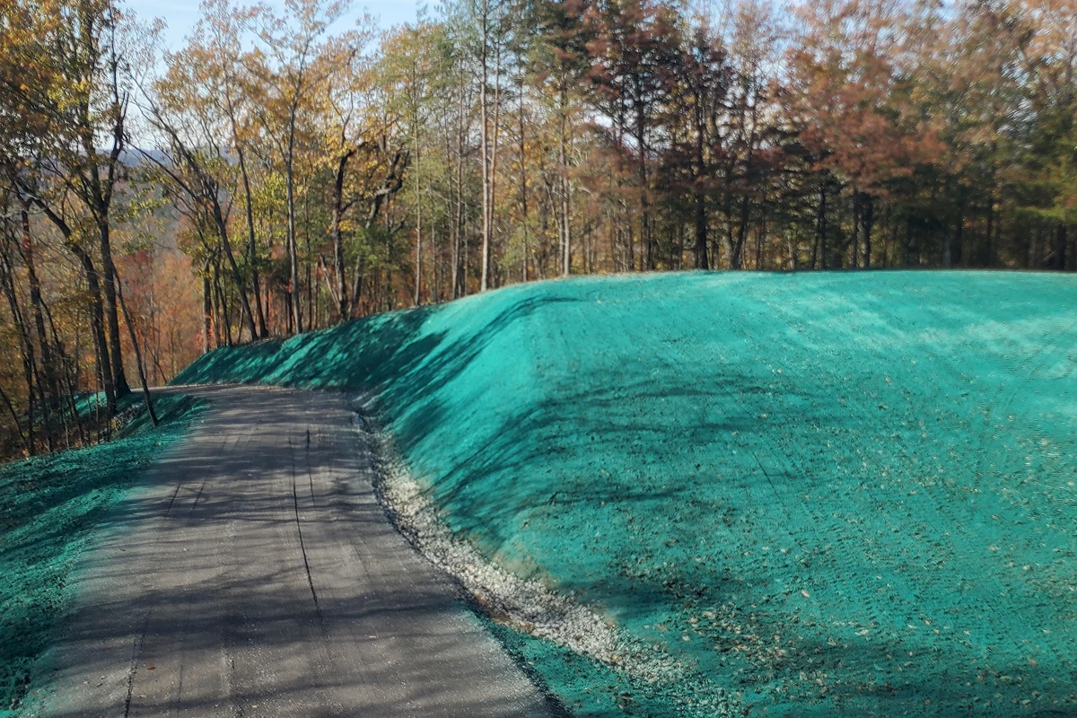 Rural trail with green covering